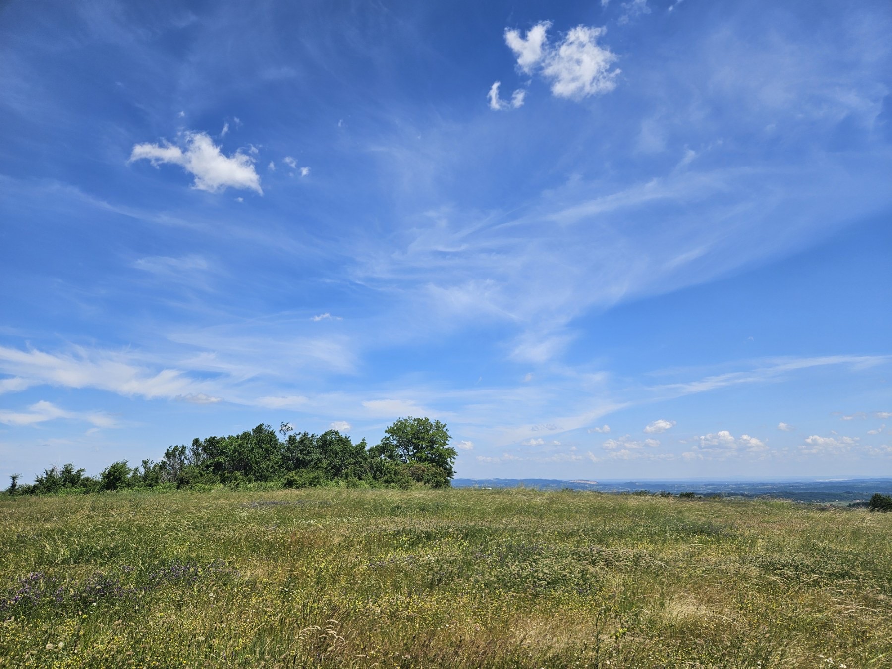 Pogled na Tusto brdo, Robaje