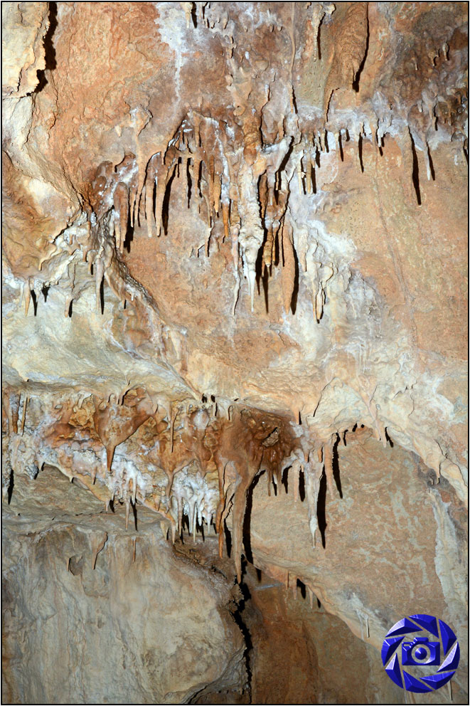 Šuplja Lipa
